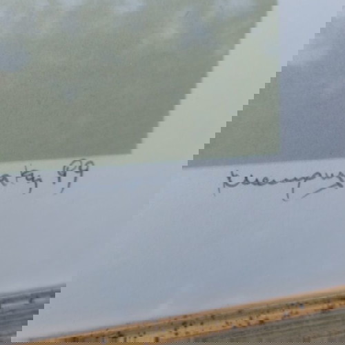 Рисунка М Макрулакис като нова