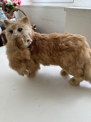 Διακοσμητικό γατούλα καινούργιο, μπεζ με απαλό τρίχωμα