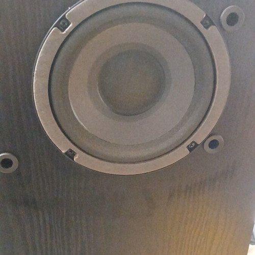 Bose 401 right speaker used with wood damage