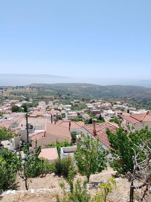 Μονοκατοικία σε οικόπεδο 2050 τμ με σπίτι που χρήζει ανακαίνισης στον Άγιο Νικόλαο Βοιών Λακωνίας