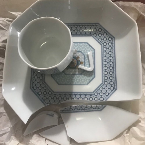 Bernardaud Limoges France Galapagos set like new with porcelain plates and cups