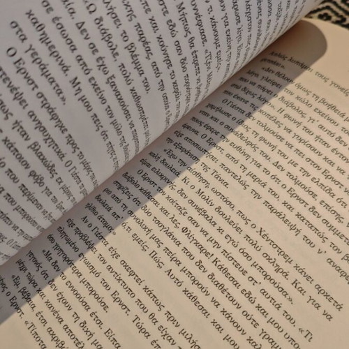 Camilla Lackberg The Preacher book like new