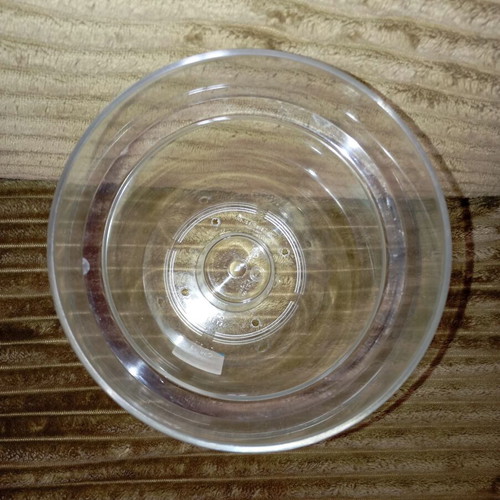 Teraplast transparent plastic orchid pot new 2 liters