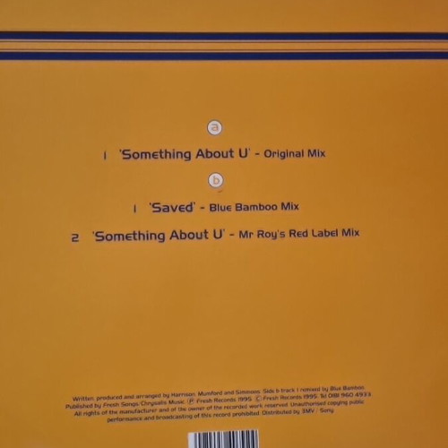 Vinyl Mr Roy Something About U used