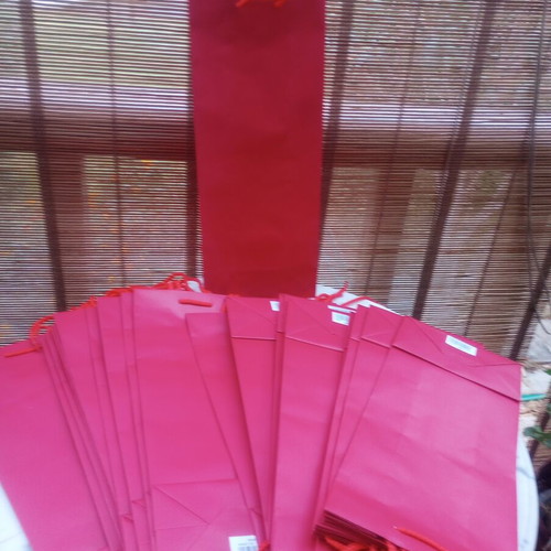 Red Paper Gift Bags pack of 25, laminated with cord handles