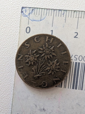 Austrian 1 Schilling Coin 1960 used with Edelweiss flower