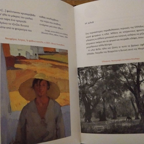 Aigaio book like new, youth edition by Vretta Sandra