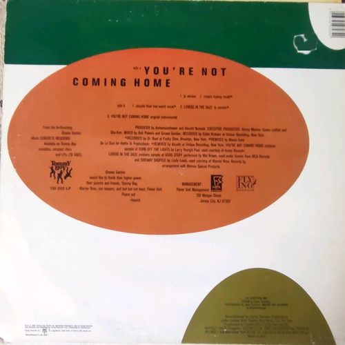 Groove Garden You're Not Coming Home 12" maxi single vinyl record used