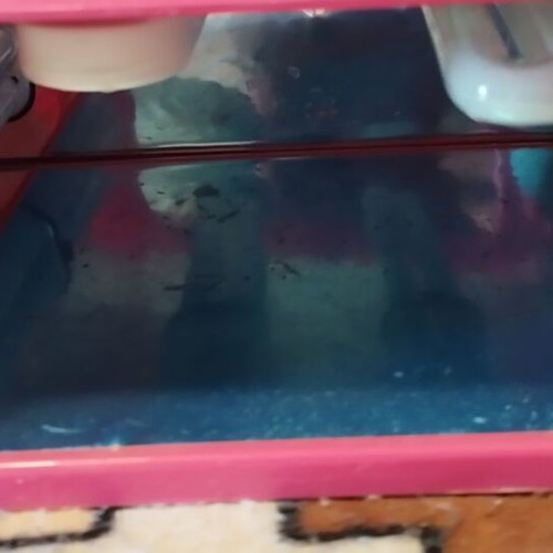 Polymerization lamp used for manicure