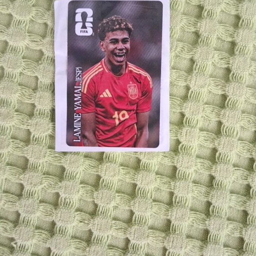 Panini Mundial 2026 Coca Cola rare stickers set like new