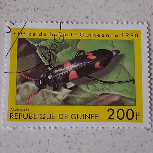 Guinea 1998 200F Mylabris insect stamp, sealed