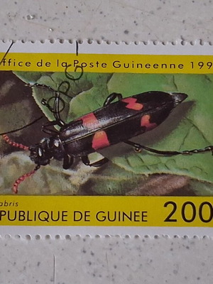 Guinea 1998 200F Mylabris insect stamp, sealed