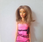 Barbie Fashionistas doll Neysa mold used