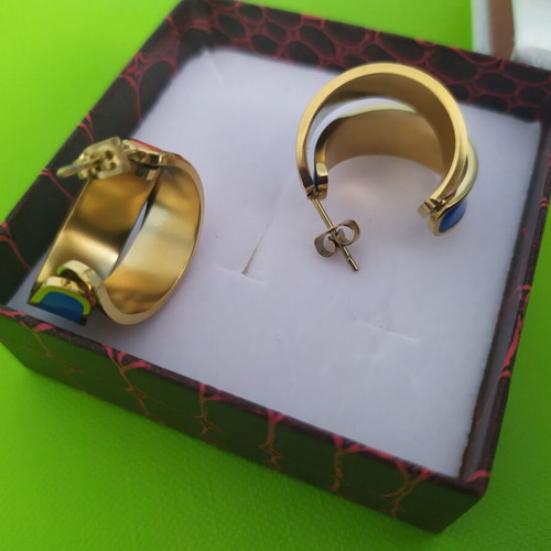 Stainless steel gold plated earrings new