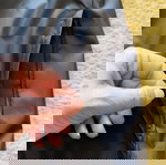  Adidas πανωφόρι για 12-13