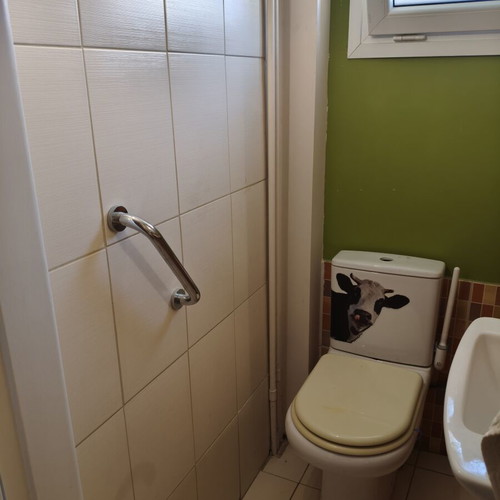 Bathroom grab bar used, 30cm, for elderly or disabled