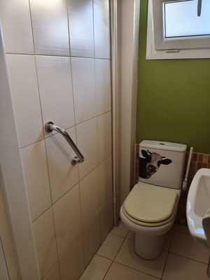Bathroom grab bar used, 30cm, for elderly or disabled