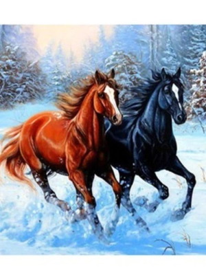 Diamond painting kit Horses in snowy landscape new