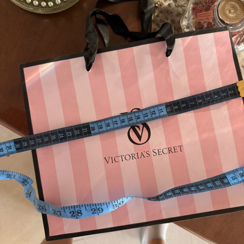 Victoria's Secret bag