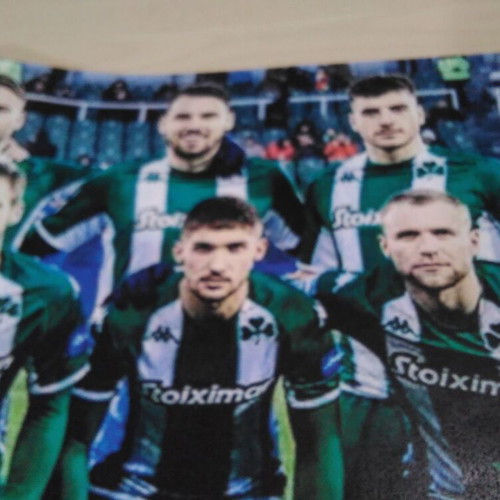 Panathinaikos football team small collectible poster 2022 like new