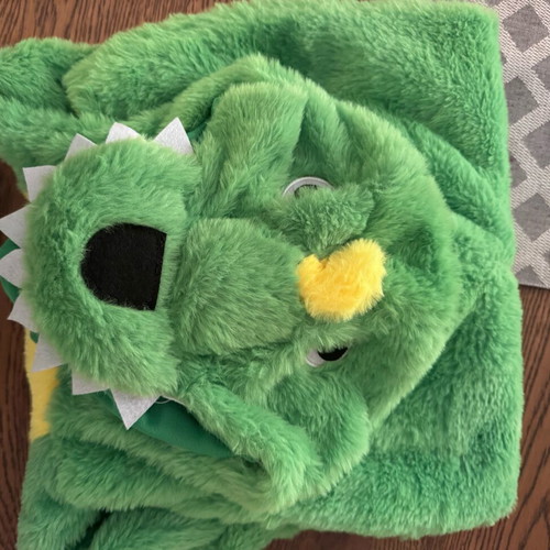 Dinosaur carnival costume for 18/24 months like new