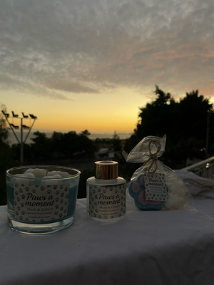 Paws for a moment set with candle, diffuser and wax melt, new