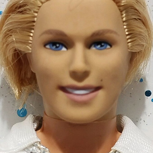 Prince Ken Barbie the Princess Collection used with damaged outfit, incomplete