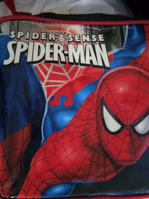 Spiderman bag used