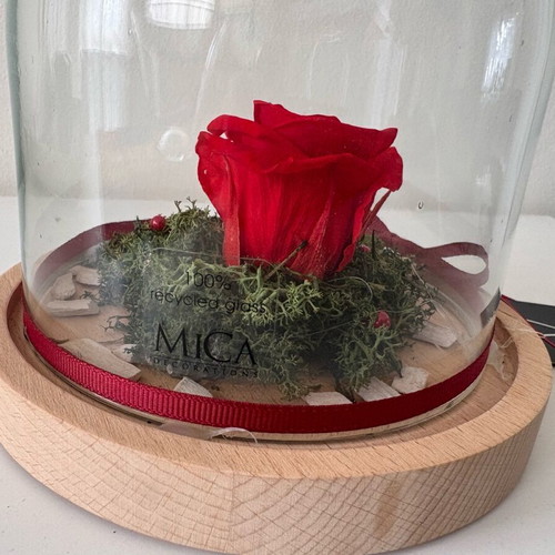 Forever Rose glass dome with rose new