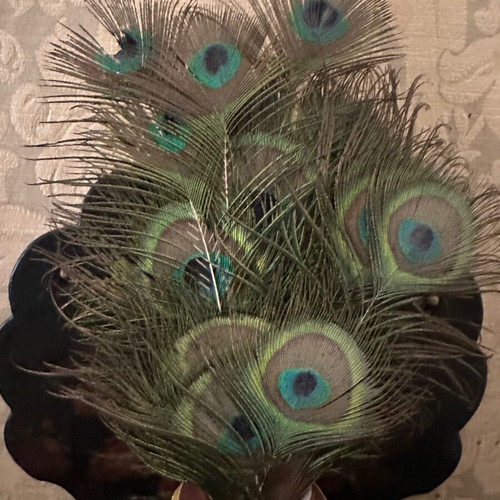 Wall display with Chinese vase and peacock feathers like new