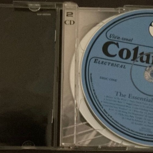 Bob Dylan The Essential 2 CD album set used