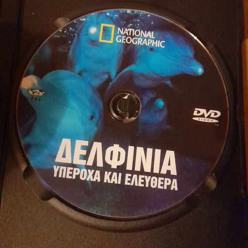 Dolphins DVD from National Geographic like new, documentary with subtitles
