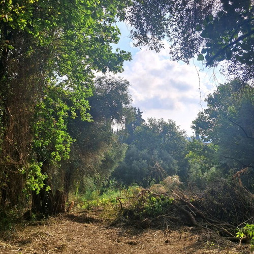 Land 5.6 stremma near Corfu city, buildable
