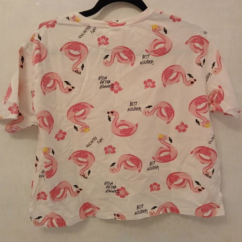 Zara Flamingo Crop Top T-shirt, size XS