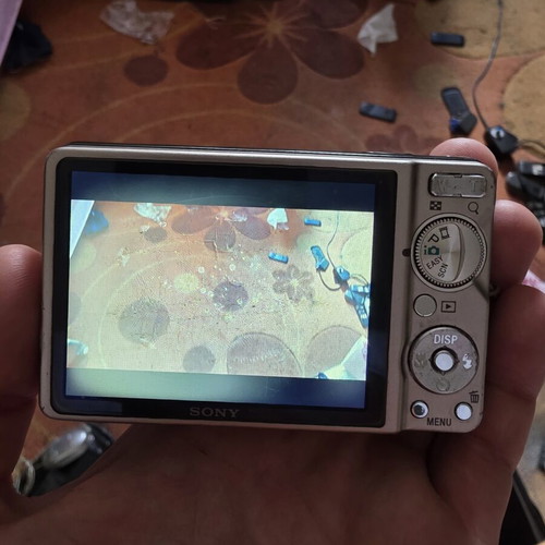 Sony Cyber-shot DSC-W290 camera used with display defect