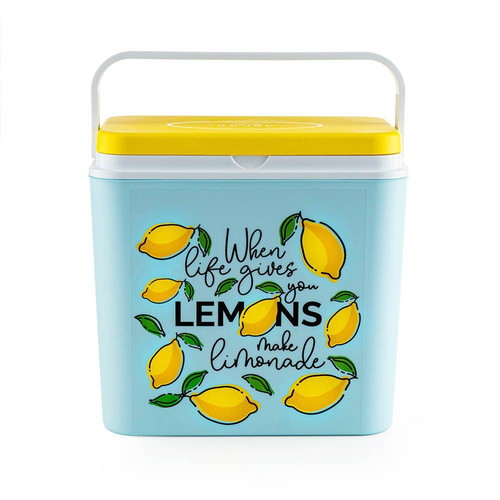 Atlantic 30L passive cooler box lemon design, new