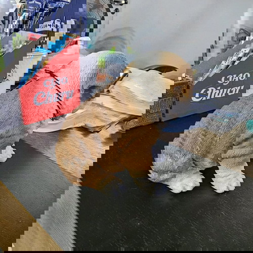 Διακοσμητικό ομοίωμα σκύλου από ρητίνη