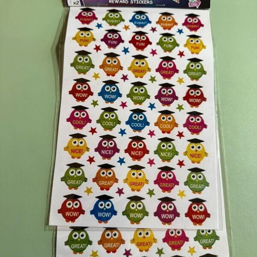 School supplies set with notebooks, pens, pencils, stickers, and case