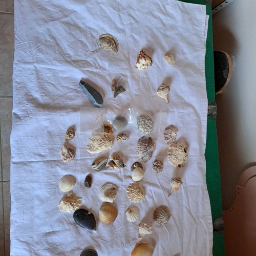 Sea rocks used, all together