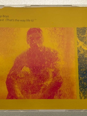 Pet Shop Boys Se a vida é CD single used, pop