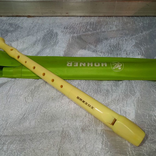 Hohner flute vintage, like new