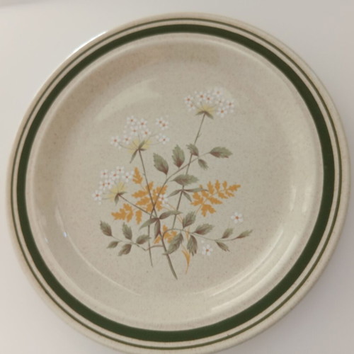 Royal Doulton Will O'The Wisp vintage plates set of 2, 17cm