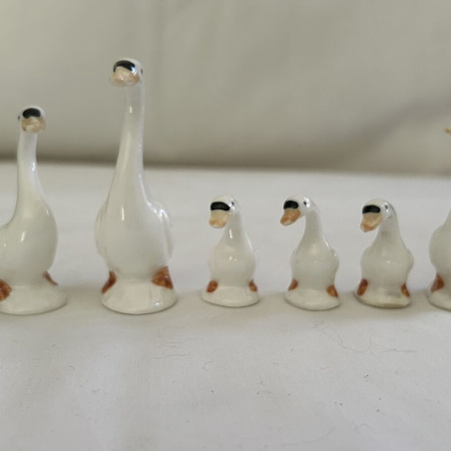 Porcelain bird figurines collection, vintage style