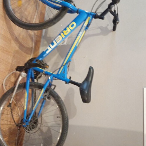 Mountain bike, 24 inch, 7-speed, blue, men's