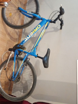 Mountain bike, 24 inch, 7-speed, blue, men's