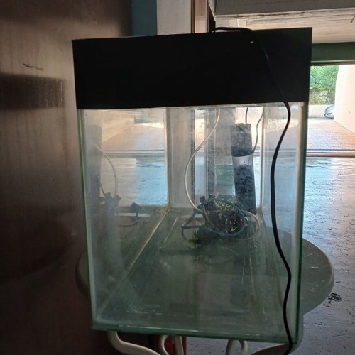 Aquarium used with lighting, filter, oxygen device, and decoration