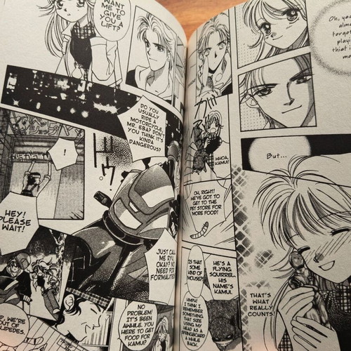 Manga Wild Act volume 1 like new, in English