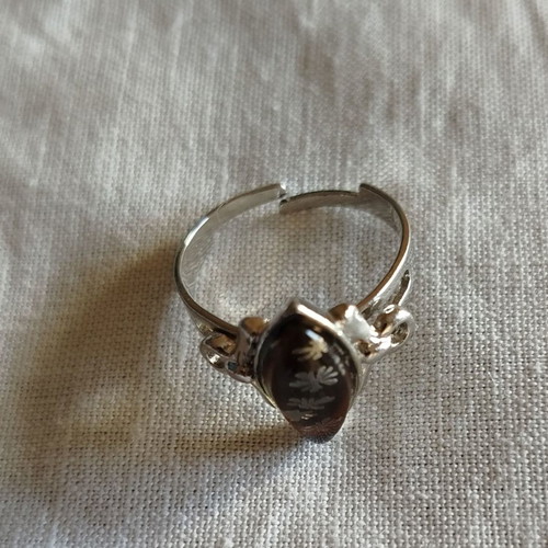 Stainless steel ring used with adjustable size