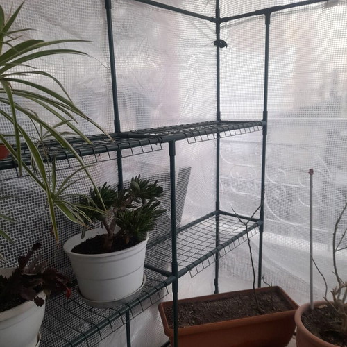 Greenhouse Assembled like new 138x200x139 with ventilation