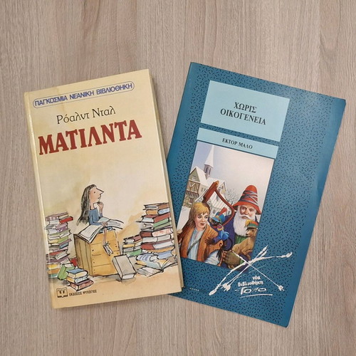 Set of 2 children’s books Matilda and Without Family like new